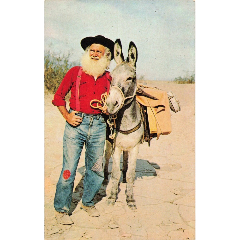 Vintage 1978 Tumbleweed Harris and Burro Lonesome John Postcard Plastichrome - Picture 1 of 2